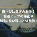 白へびは幸運の象徴？金運アップの秘密や縁起の良い理由と体験談！